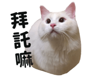445355588