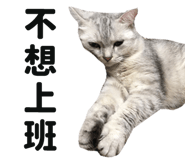 445355592