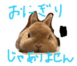 445364407