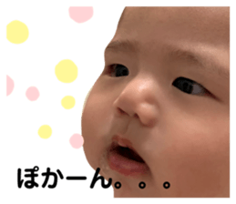 445367330