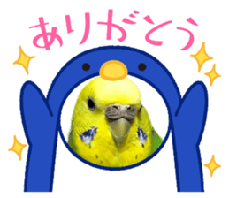 445369292