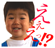 44537198