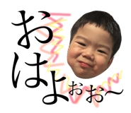44537204
