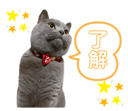 445380168
