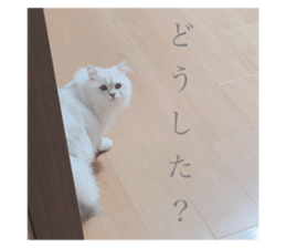 445394209