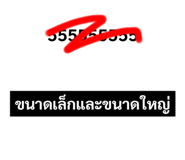 445401248