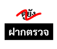 445401250