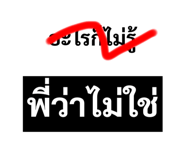 445401255