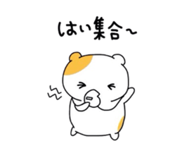4454636