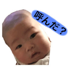 445468030