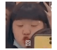 445473905