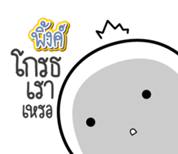 44549034