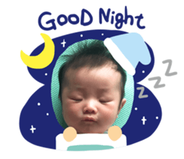 445497393