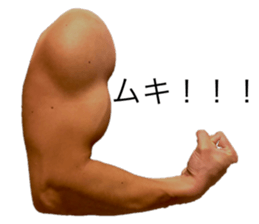 445505254