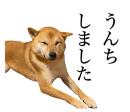 445505566