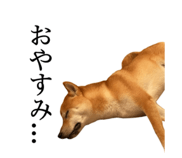 445505573