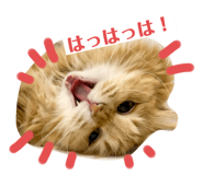 445506631