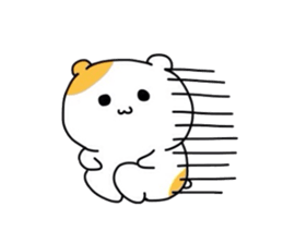 4455075