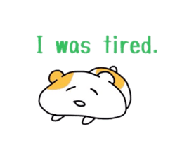 4455094
