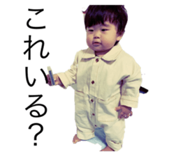 445513861