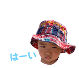 445516825