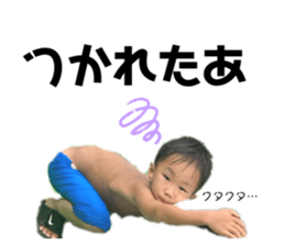 445516980
