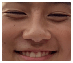 445517782