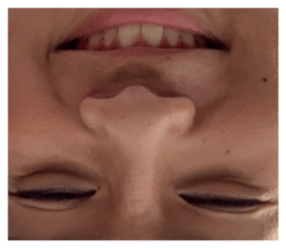 445517786