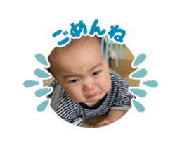 445520433