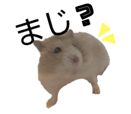 445525547