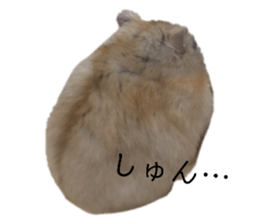 445525548