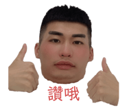 445527399