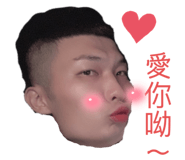 445527401