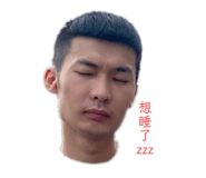 445527403