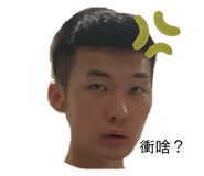 445527404