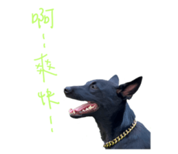 445530472
