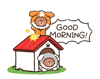 PUPPY BROWN รูปที่ 12