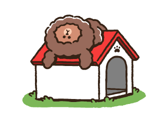 PUPPY BROWN รูปที่ 22