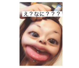 445581682