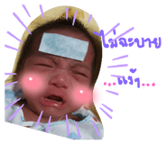 445582733