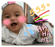 445582740