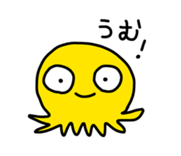 445588968