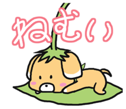 4456091