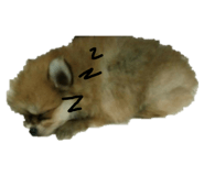 44569744