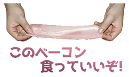 445726855