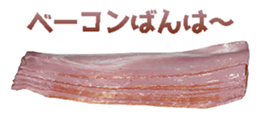 445726859
