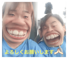 445827697