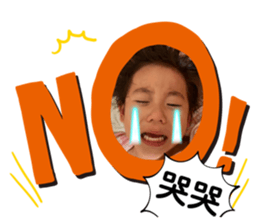 445889962