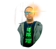 446008558