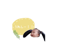446038502